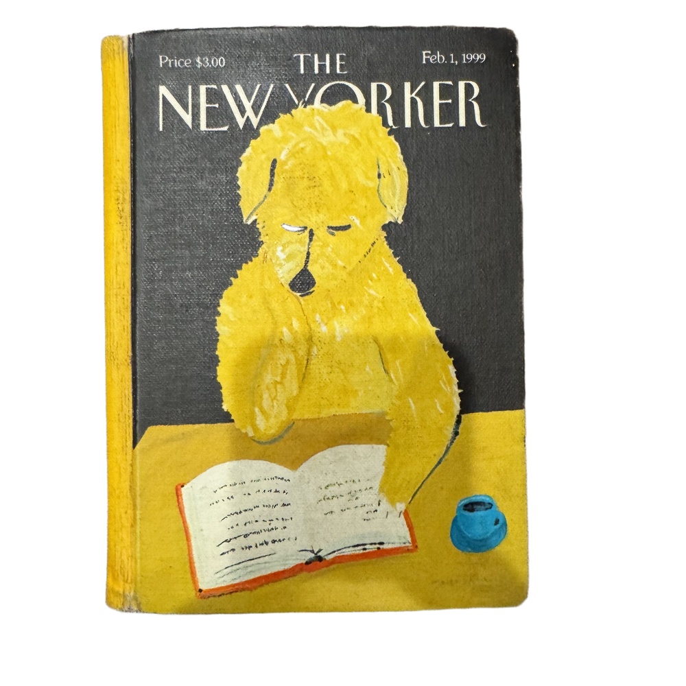 The New Yorker NOOK Color BNRV200 7 Inch Maira Kalman Cover eReader